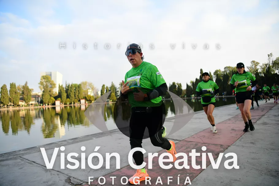 Foto del evento Shrek - CDMX 2026