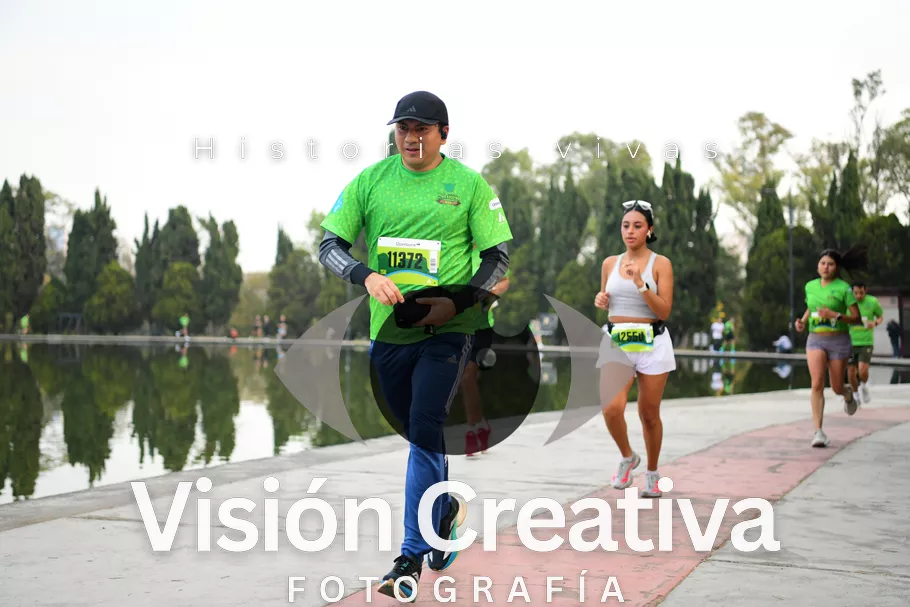 Foto del evento Shrek - CDMX 2026