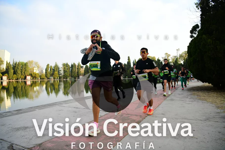 Foto del evento Shrek - CDMX 2026