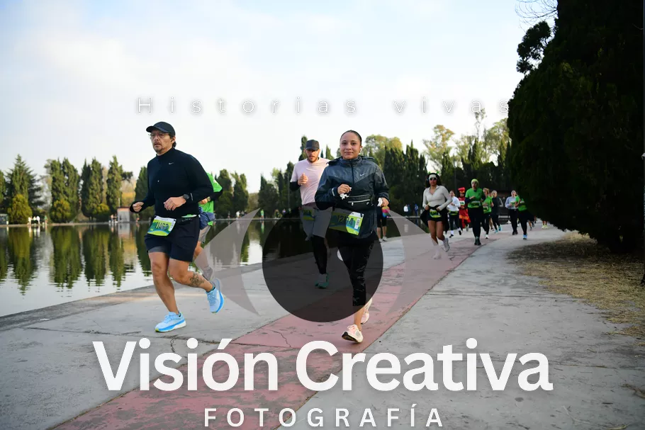 Foto del evento Shrek - CDMX 2026