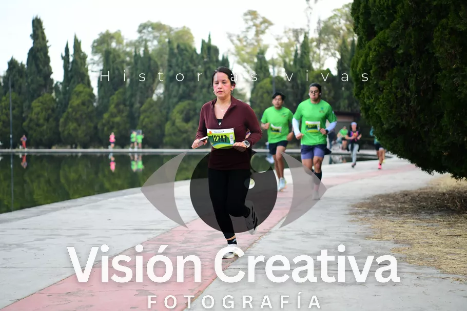 Foto del evento Shrek - CDMX 2026