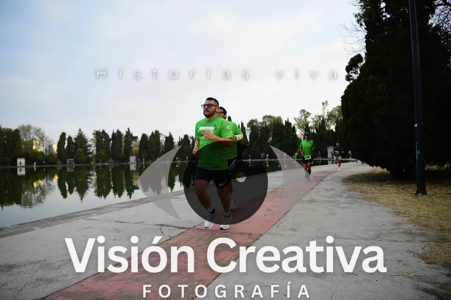 Foto del evento Shrek - CDMX 2026
