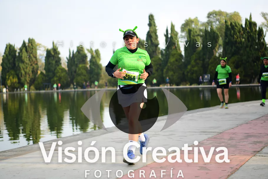 Foto del evento Shrek - CDMX 2026
