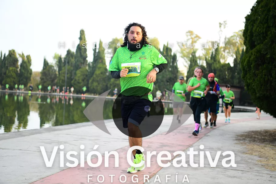 Foto del evento Shrek - CDMX 2026