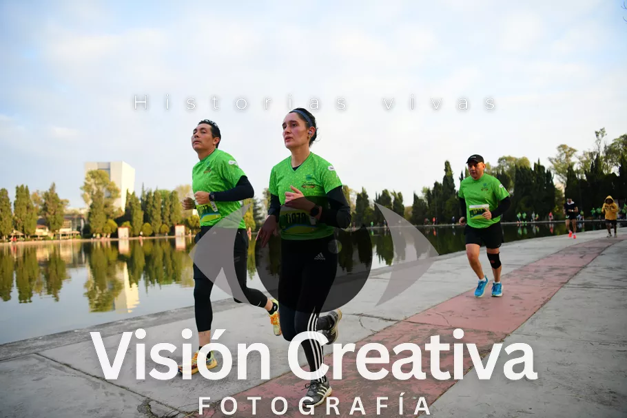 Foto del evento Shrek - CDMX 2026