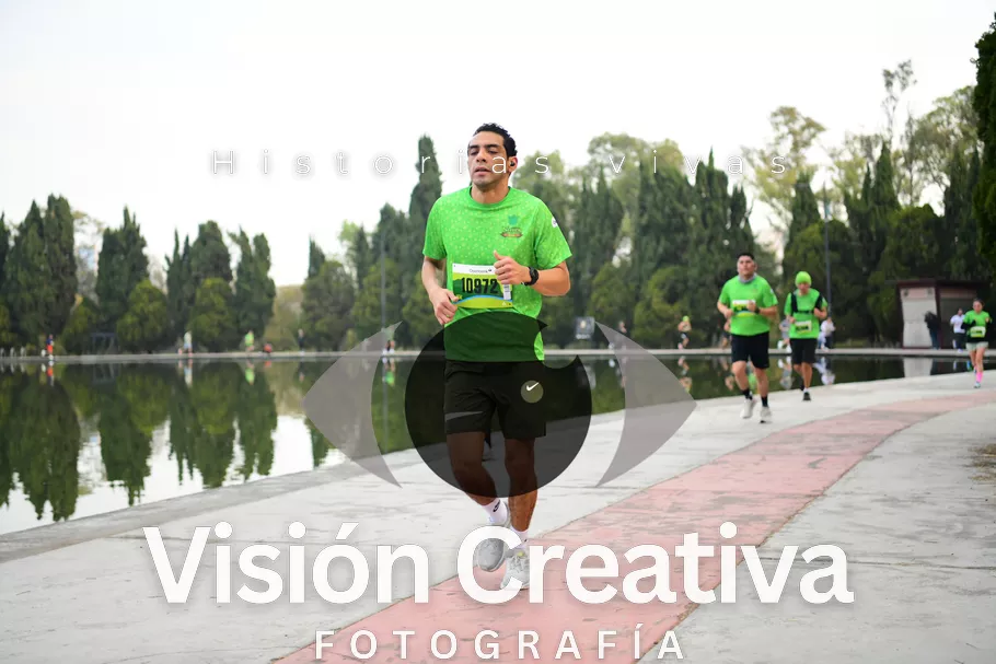 Foto del evento Shrek - CDMX 2026