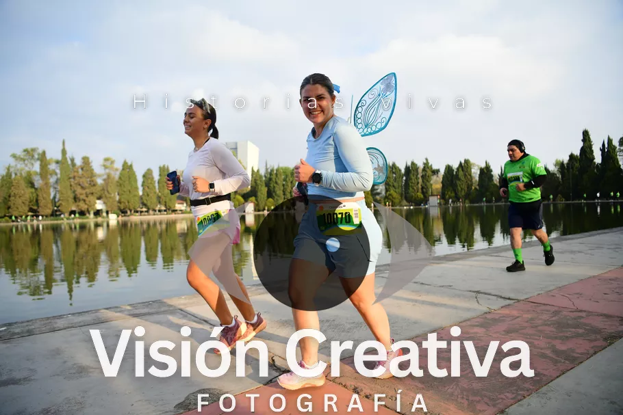Foto del evento Shrek - CDMX 2026