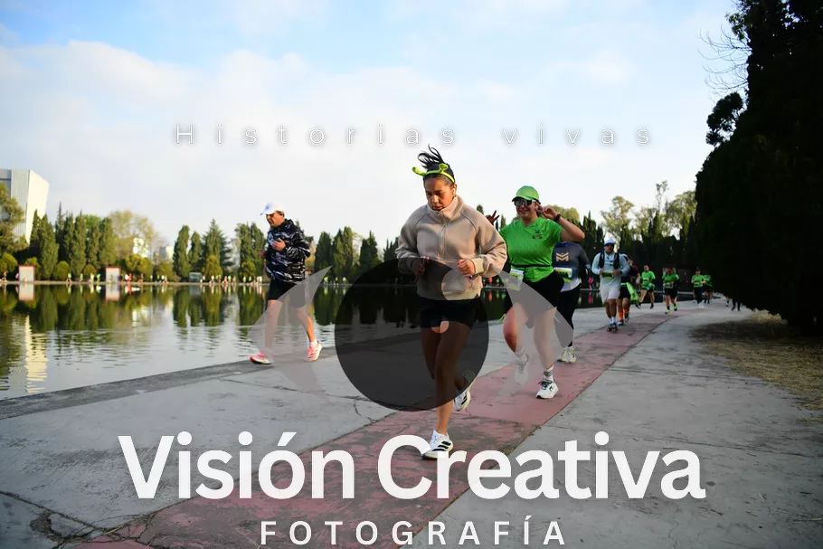 Foto del evento Shrek - CDMX 2026