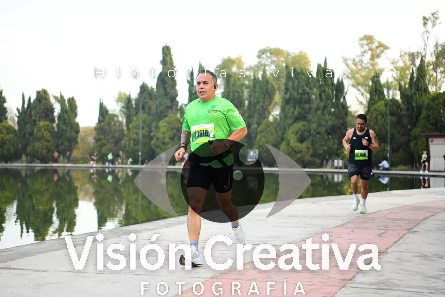Foto del evento Shrek - CDMX 2026