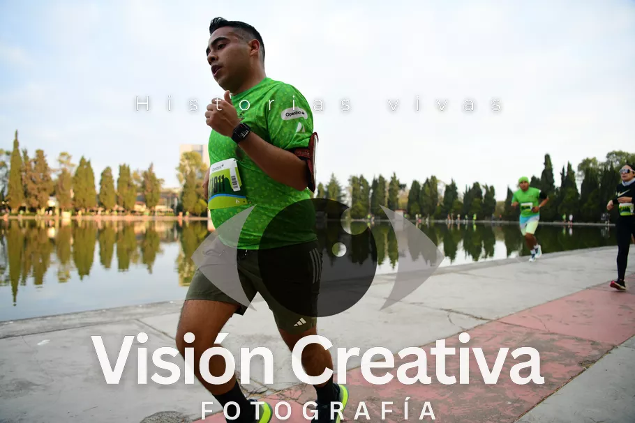 Foto del evento Shrek - CDMX 2026