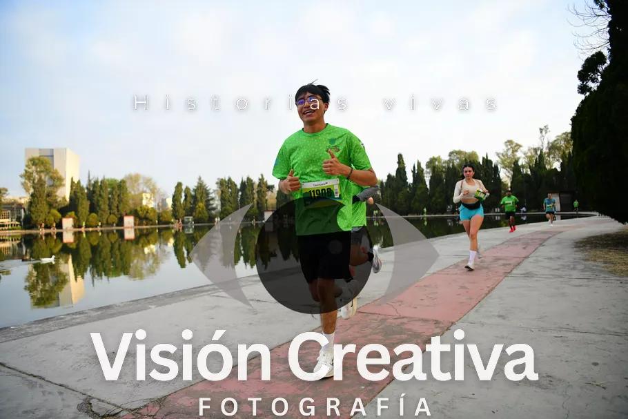 Foto del evento Shrek - CDMX 2026