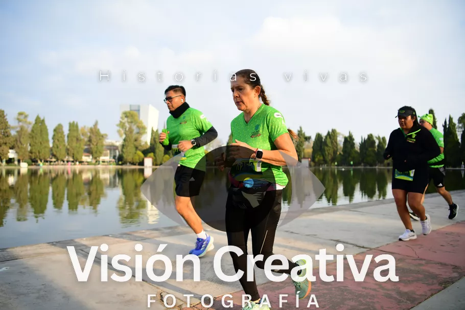 Foto del evento Shrek - CDMX 2026