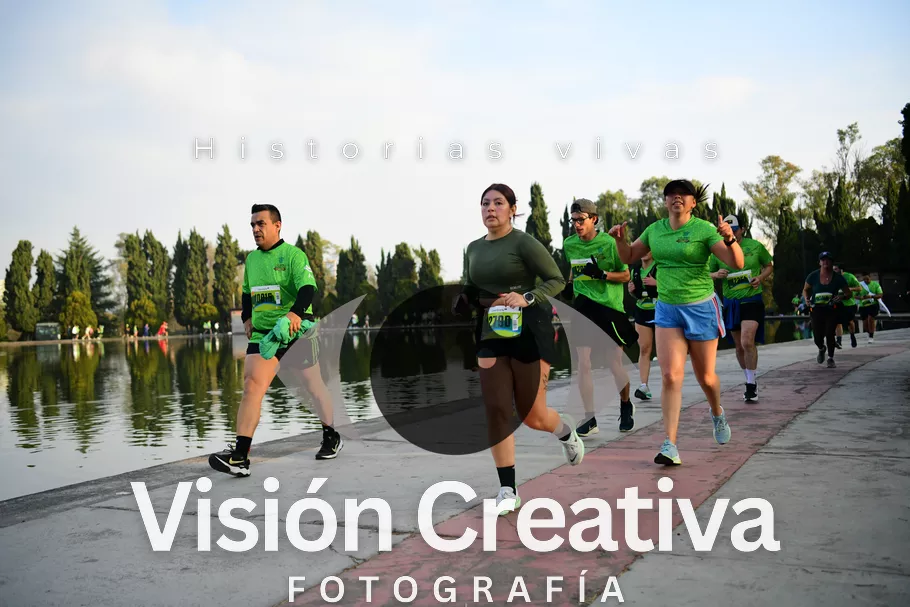 Foto del evento Shrek - CDMX 2026