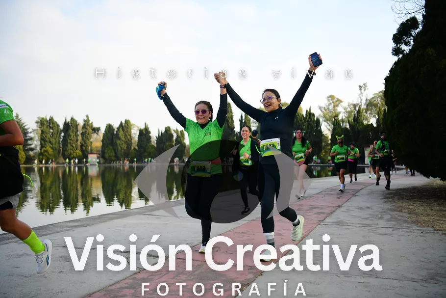 Foto del evento Shrek - CDMX 2026