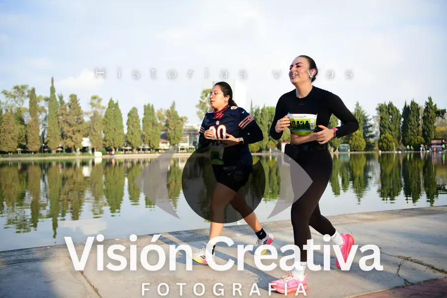 Foto del evento Shrek - CDMX 2026
