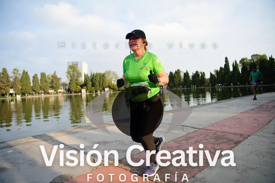 Foto del evento Shrek - CDMX 2026