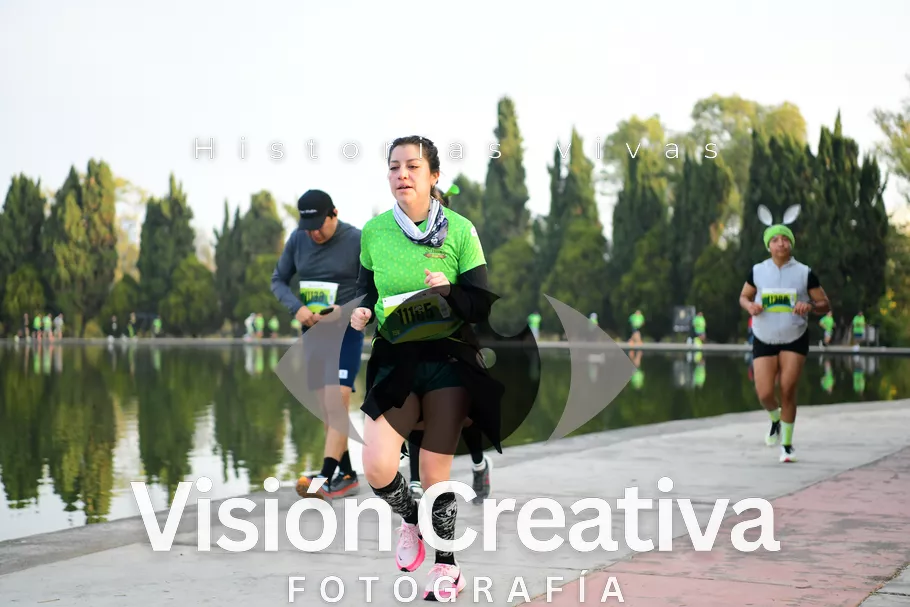 Foto del evento Shrek - CDMX 2026