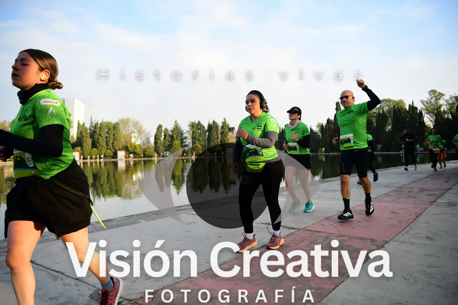 Foto del evento Shrek - CDMX 2026