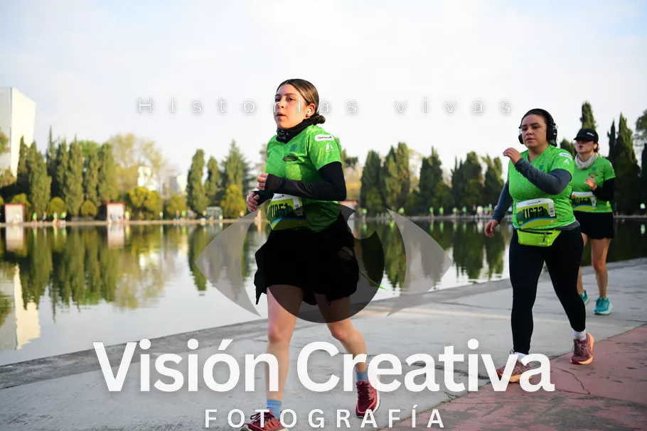 Foto del evento Shrek - CDMX 2026