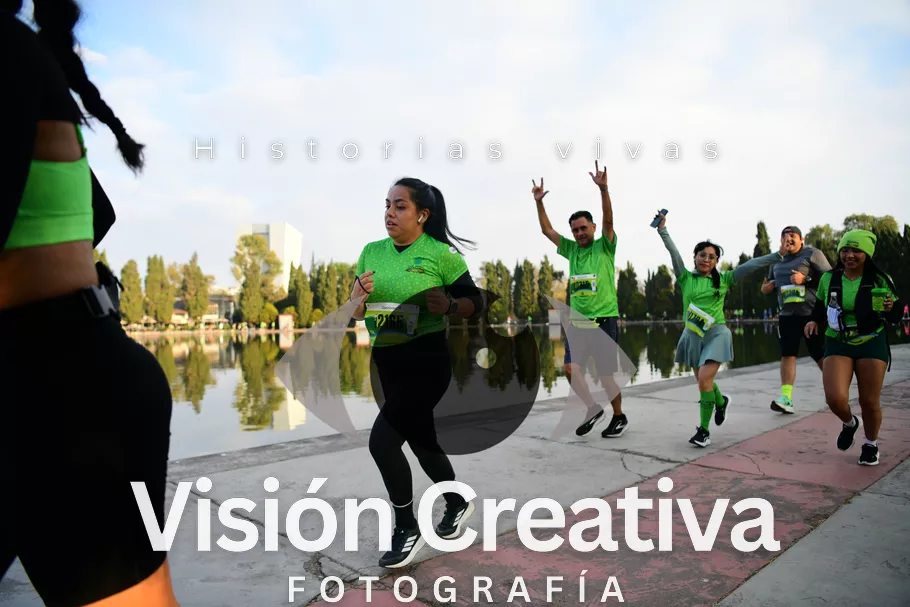 Foto del evento Shrek - CDMX 2026