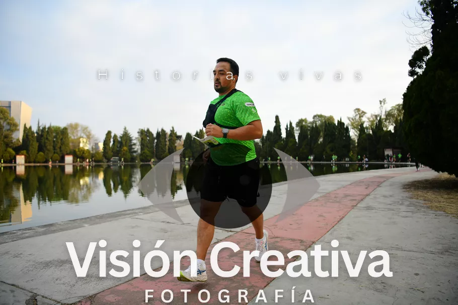 Foto del evento Shrek - CDMX 2026