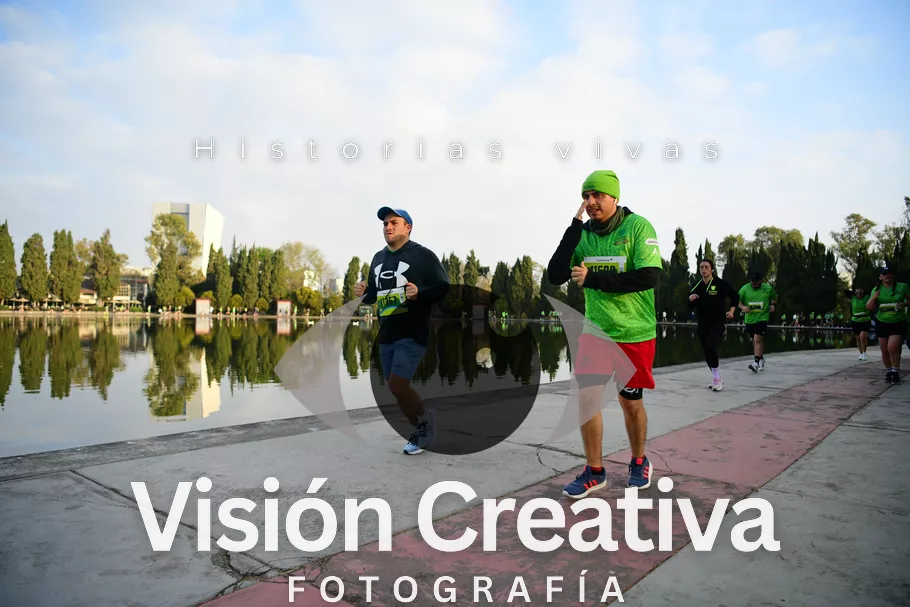 Foto del evento Shrek - CDMX 2026