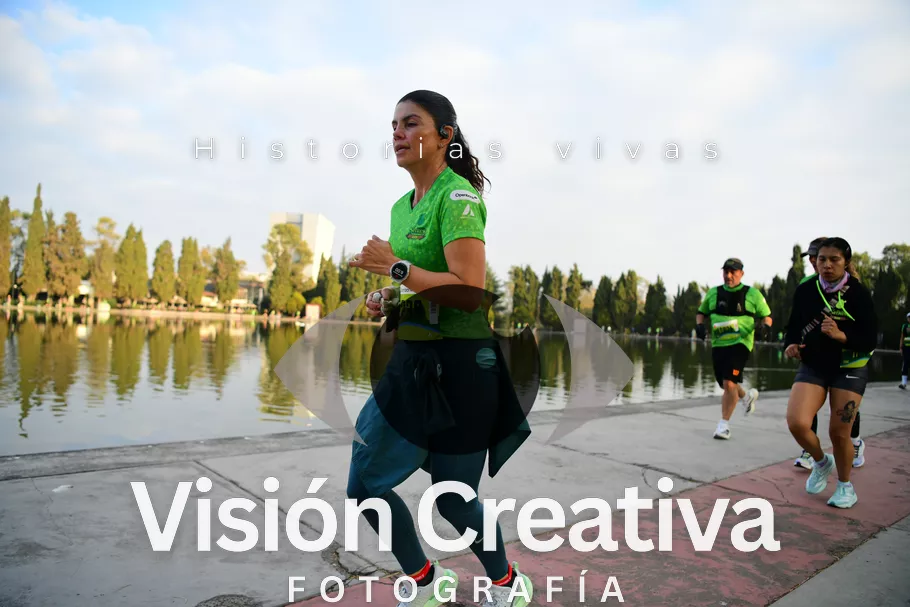 Foto del evento Shrek - CDMX 2026