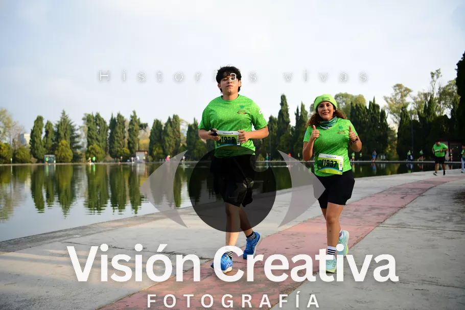 Foto del evento Shrek - CDMX 2026