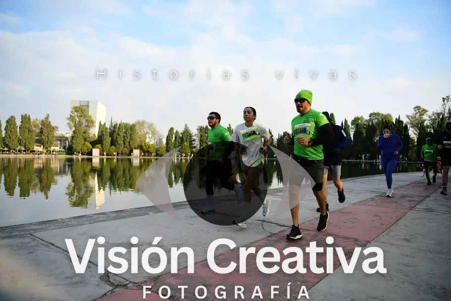 Foto del evento Shrek - CDMX 2026