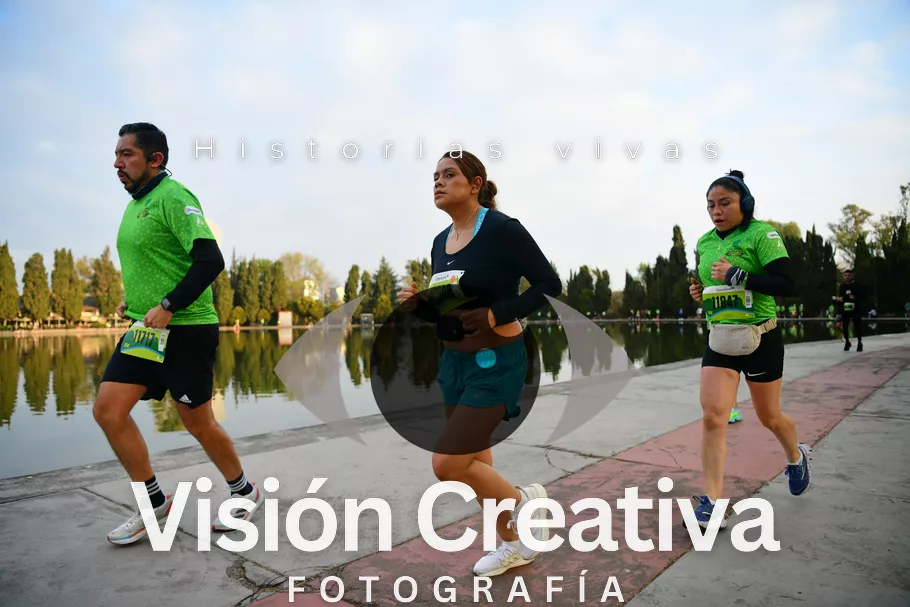 Foto del evento Shrek - CDMX 2026