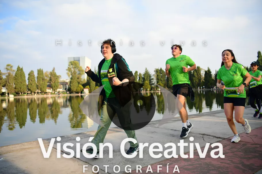 Foto del evento Shrek - CDMX 2026