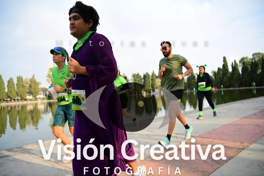 Foto del evento Shrek - CDMX 2026