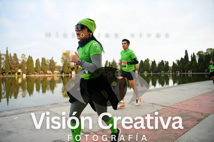 Foto del evento Shrek - CDMX 2026