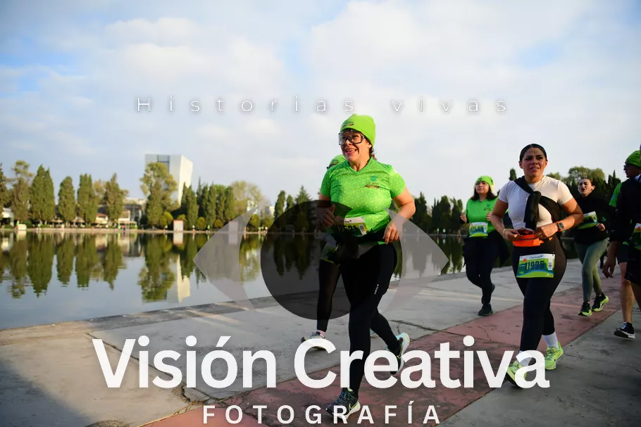 Foto del evento Shrek - CDMX 2026