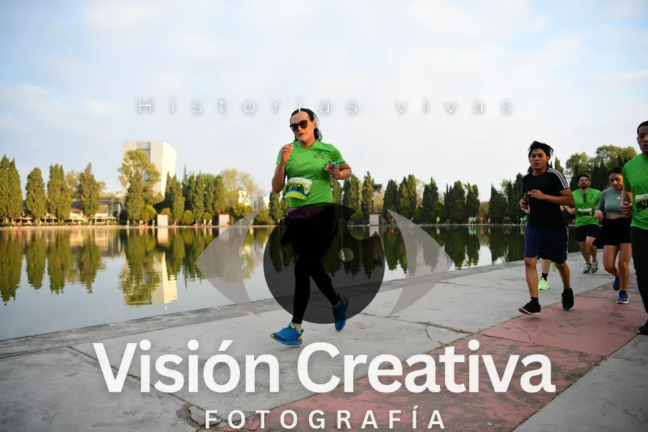 Foto del evento Shrek - CDMX 2026