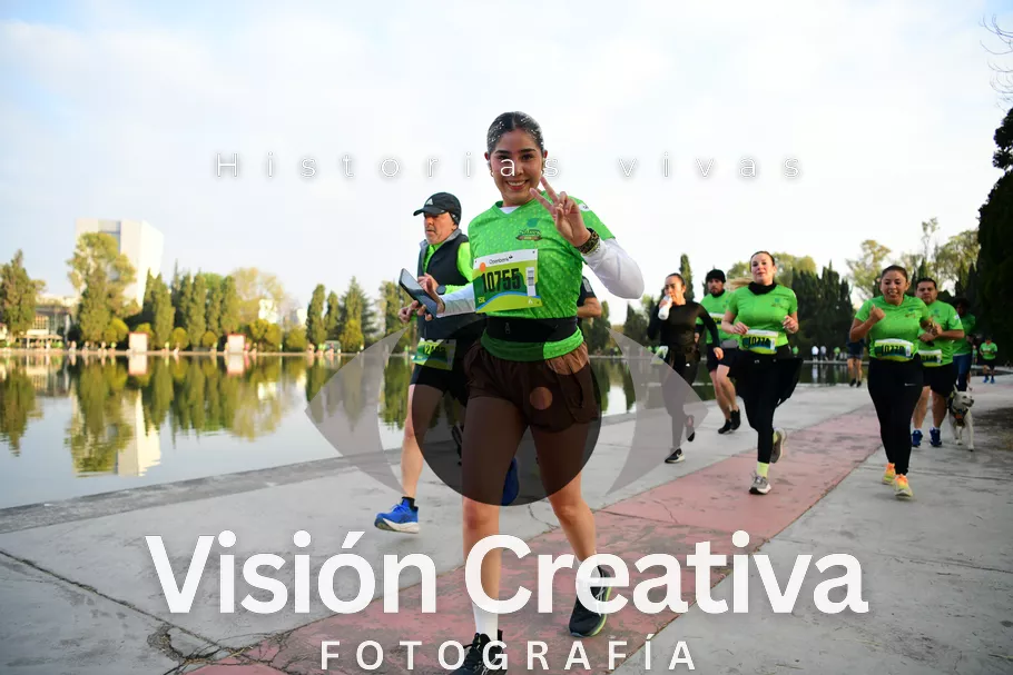 Foto del evento Shrek - CDMX 2026