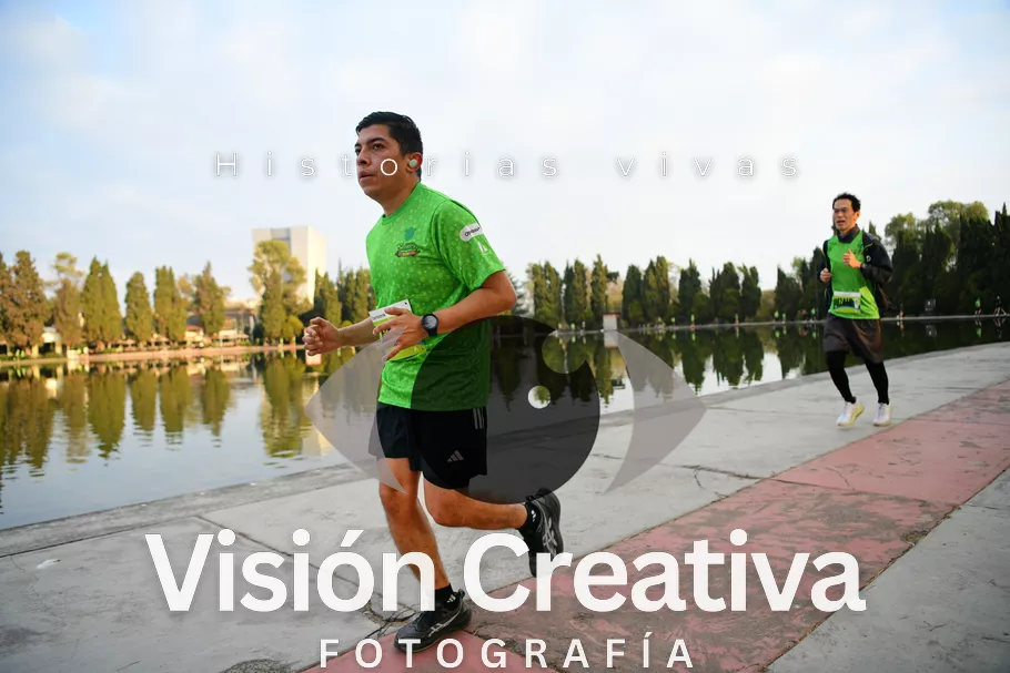 Foto del evento Shrek - CDMX 2026