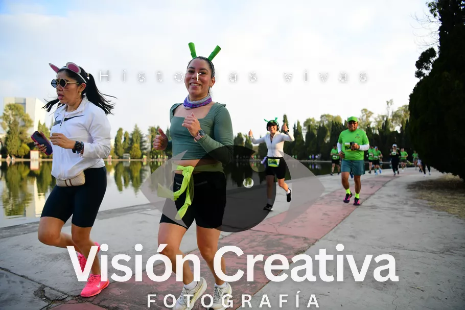 Foto del evento Shrek - CDMX 2026