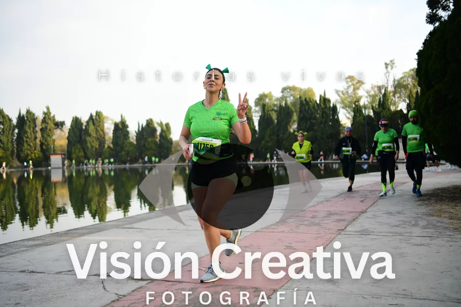 Foto del evento Shrek - CDMX 2026