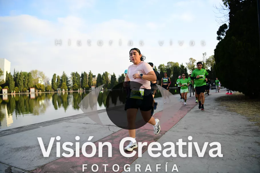 Foto del evento Shrek - CDMX 2026