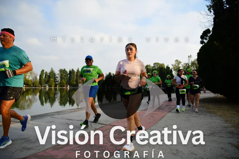 Foto del evento Shrek - CDMX 2026
