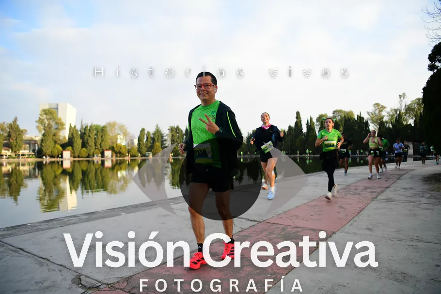 Foto del evento Shrek - CDMX 2026
