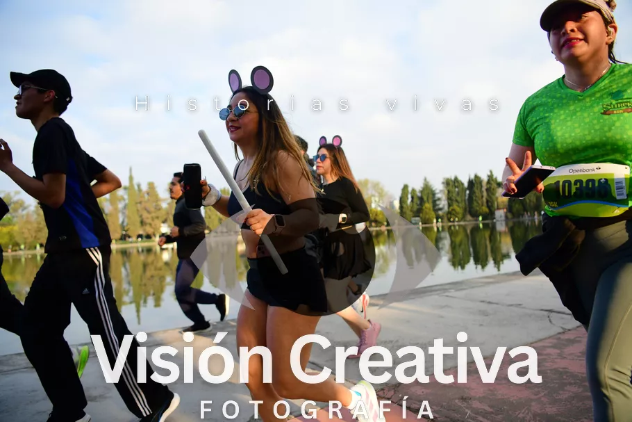Foto del evento Shrek - CDMX 2026