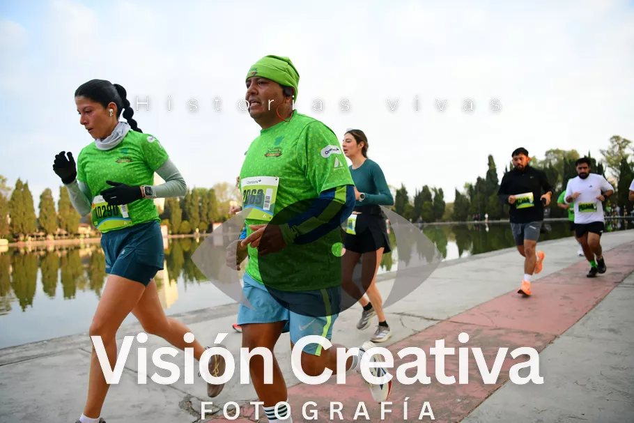 Foto del evento Shrek - CDMX 2026