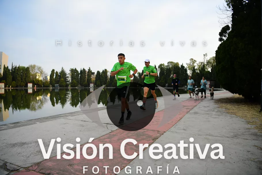 Foto del evento Shrek - CDMX 2026