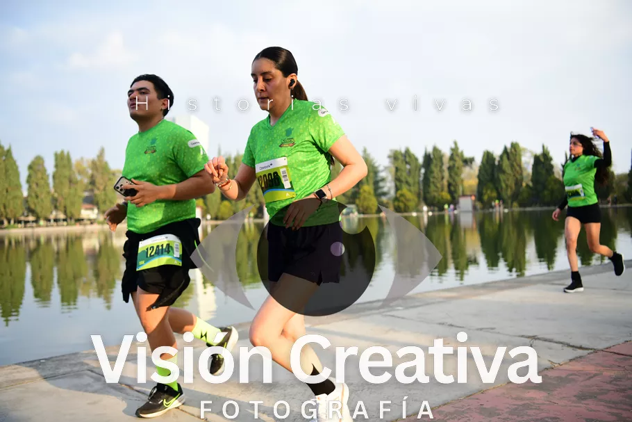 Foto del evento Shrek - CDMX 2026