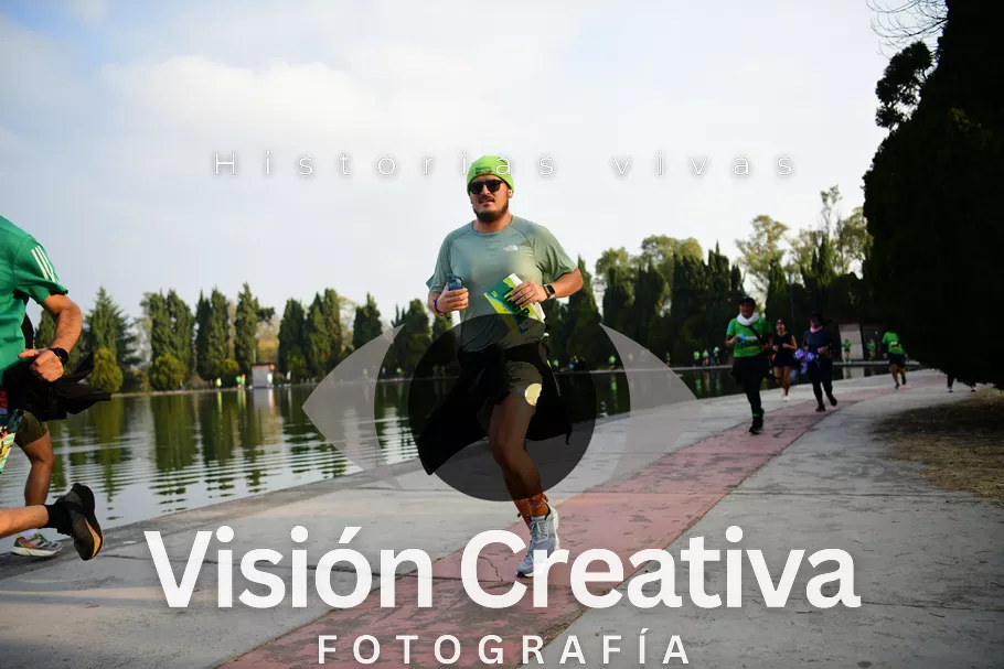 Foto del evento Shrek - CDMX 2026