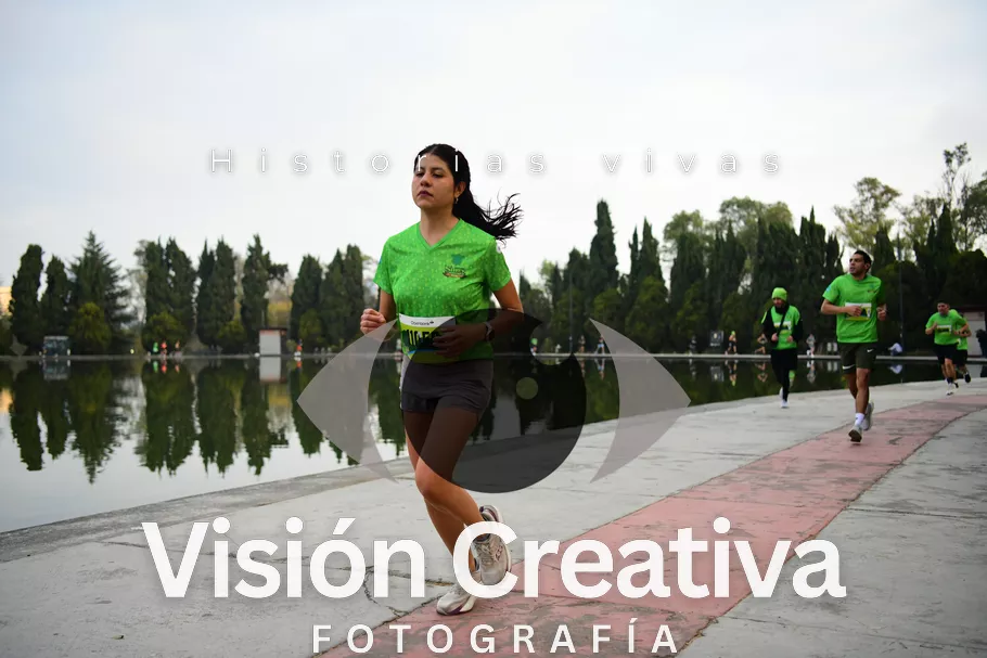 Foto del evento Shrek - CDMX 2026