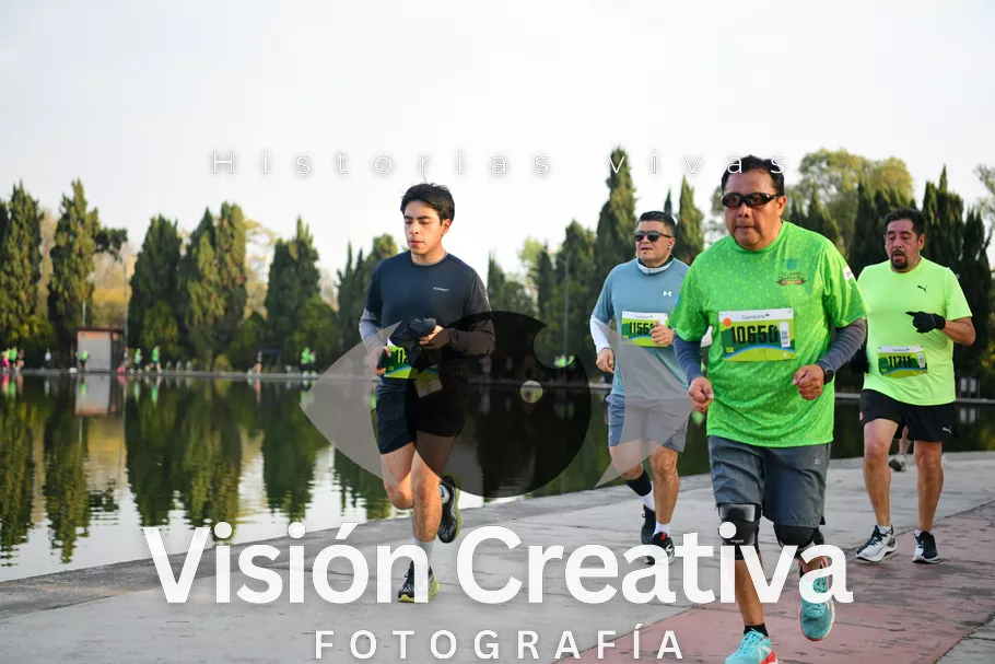 Foto del evento Shrek - CDMX 2026