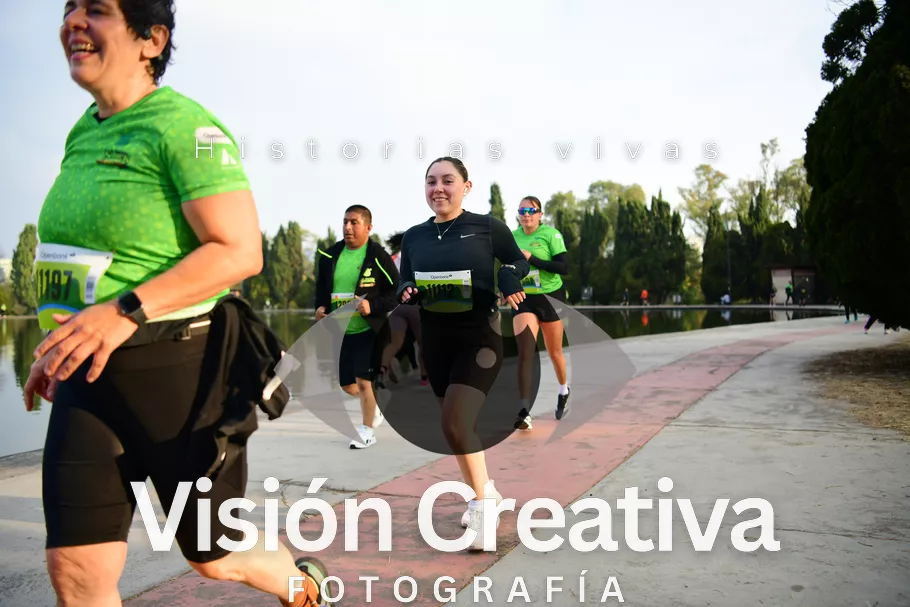 Foto del evento Shrek - CDMX 2026